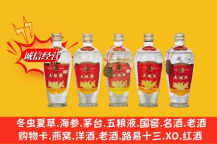 绿园区回收老五粮液