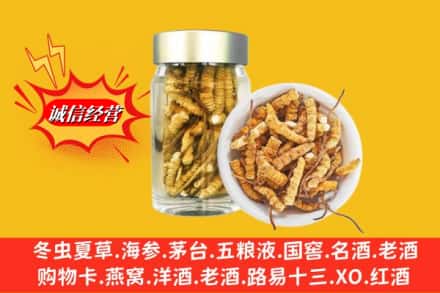 绿园区回收散虫草