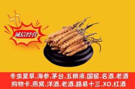 绿园区名酒回收冬虫夏草.jpg